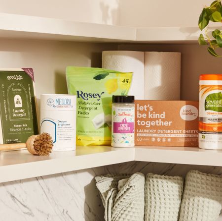 A corner shelf with a group of products, including a scrubber brush, a pouch of dishwasher detergent packs, a box of laundry detergent sheets, and a container of disinfecting wipes.