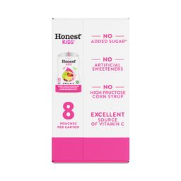 Berry Berry Good Lemonade Kid's Drink Pouches