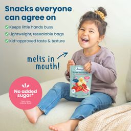 Organic Smoothie Melts, Mixed Red Berries