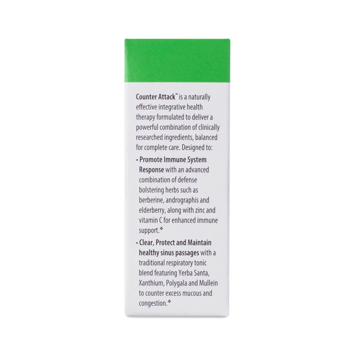 Dog Food Immune System Booster Dog Food Immune System Booster