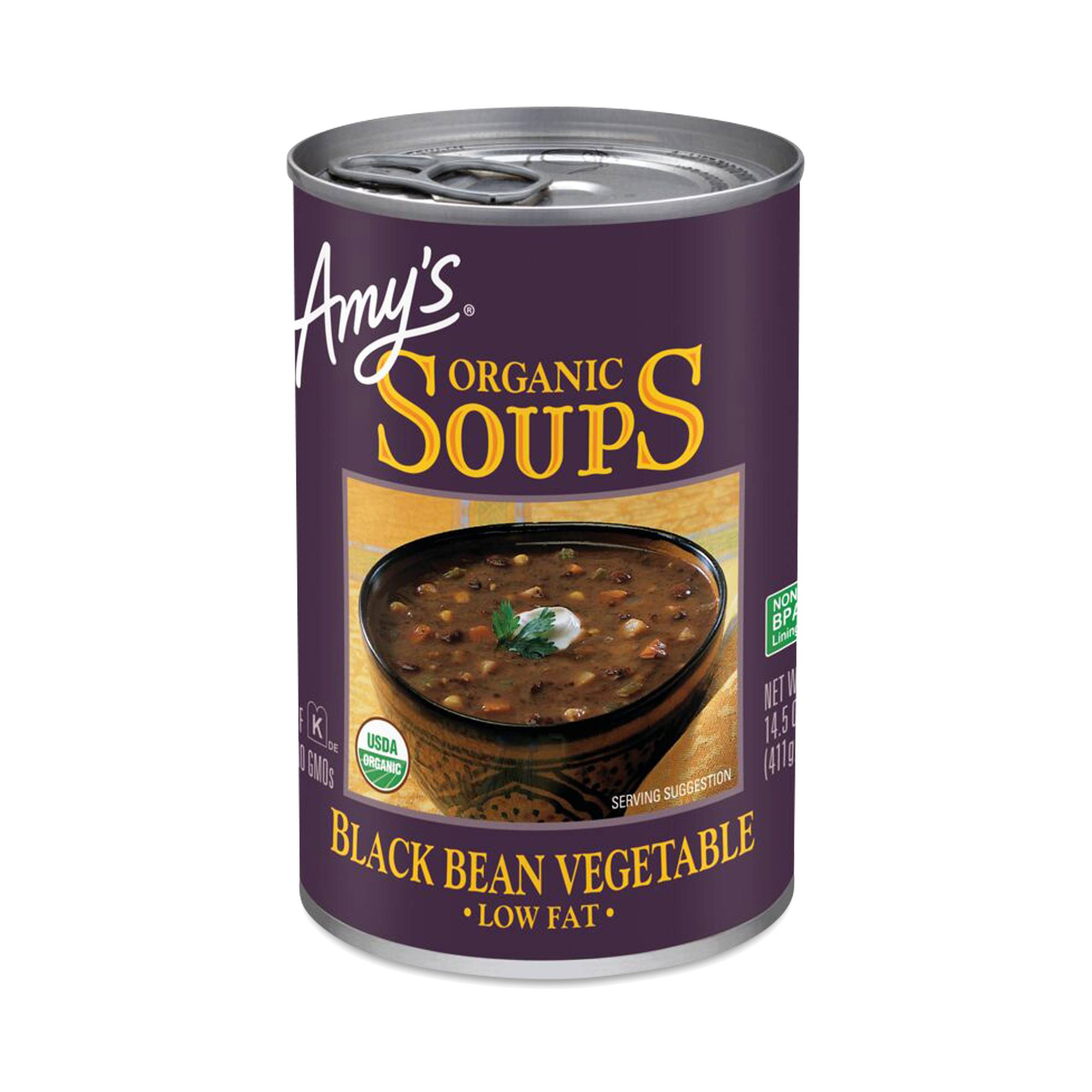 Black Bean Vegetable Soup