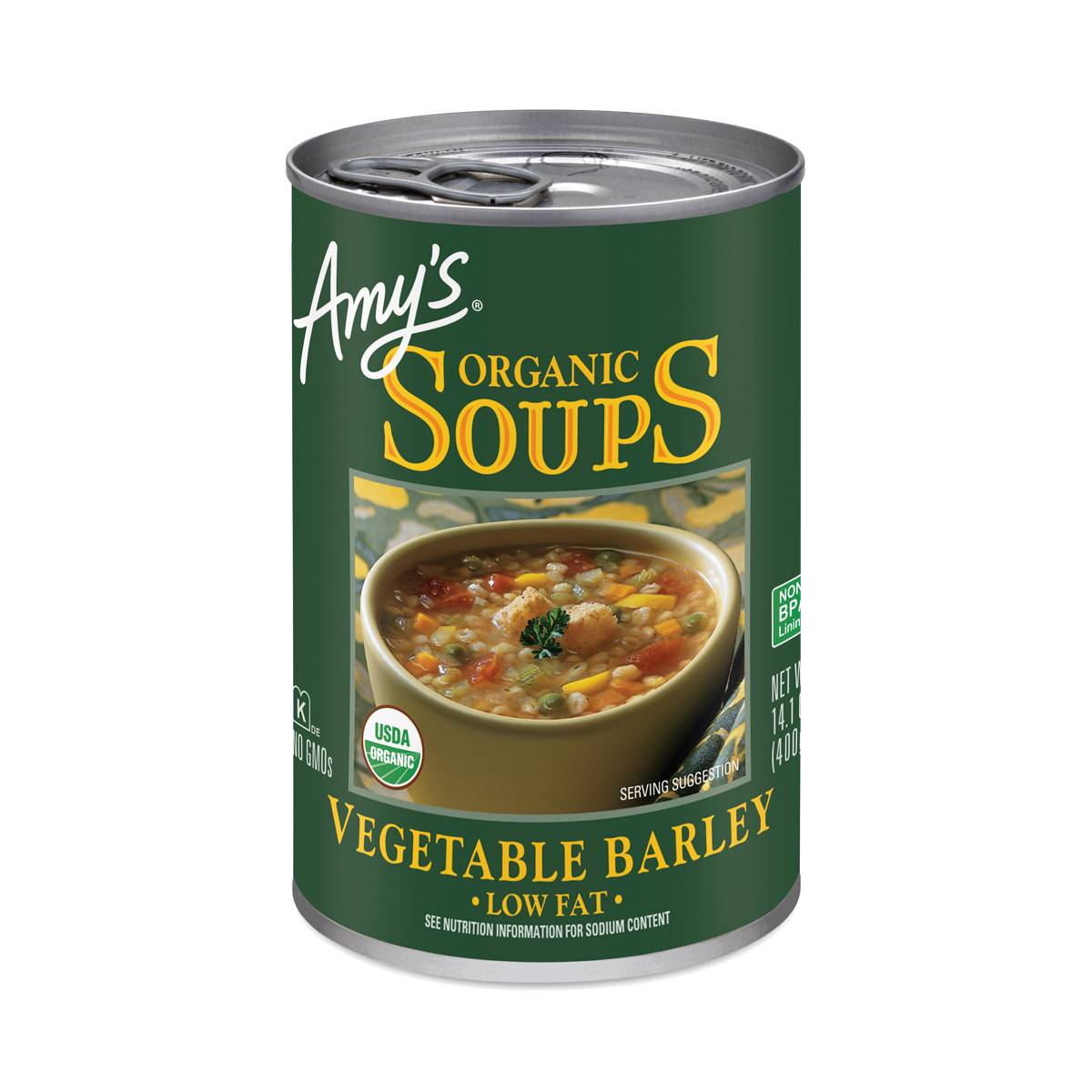 Vegetable Barley Soup