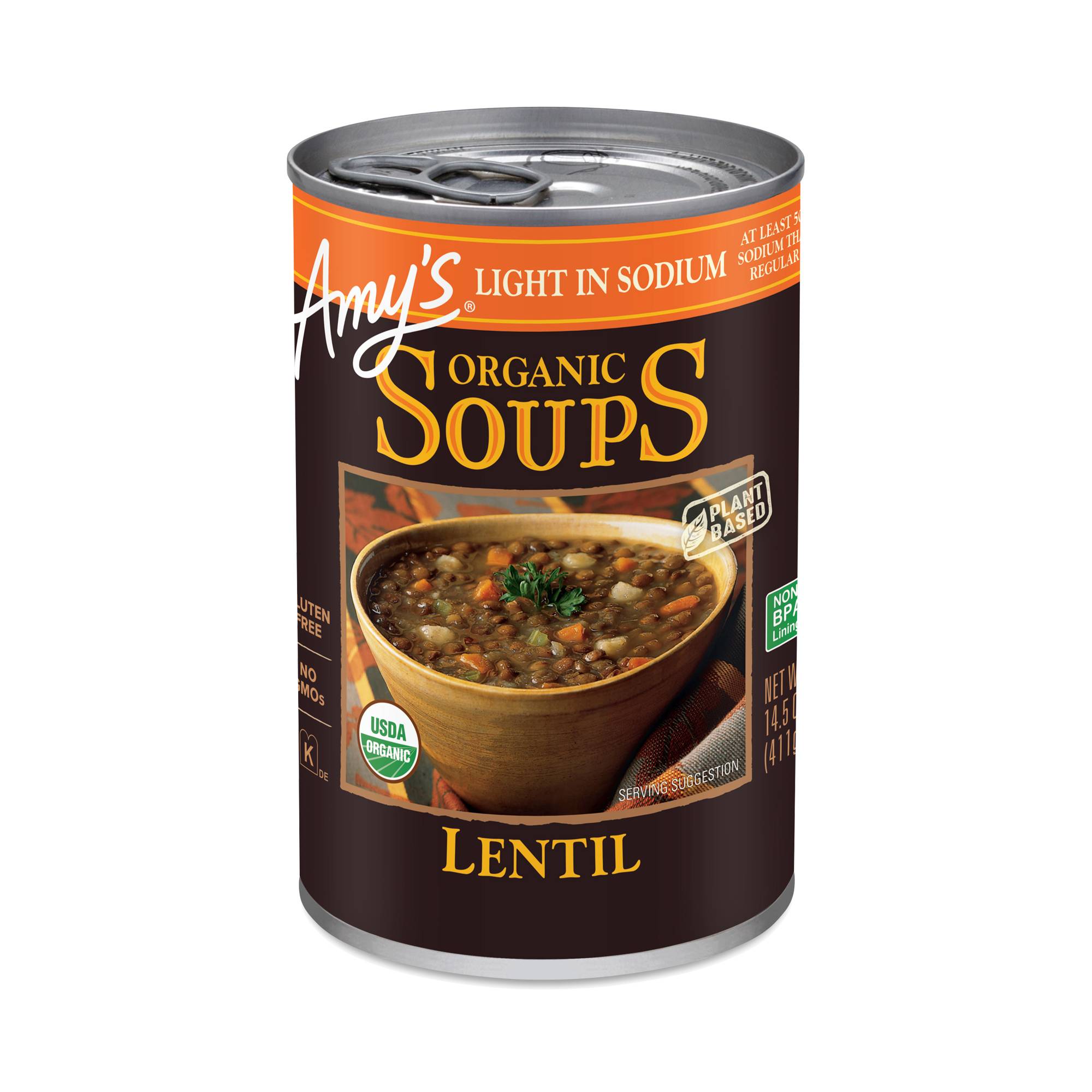 Lentil Soup, Light in Sodium