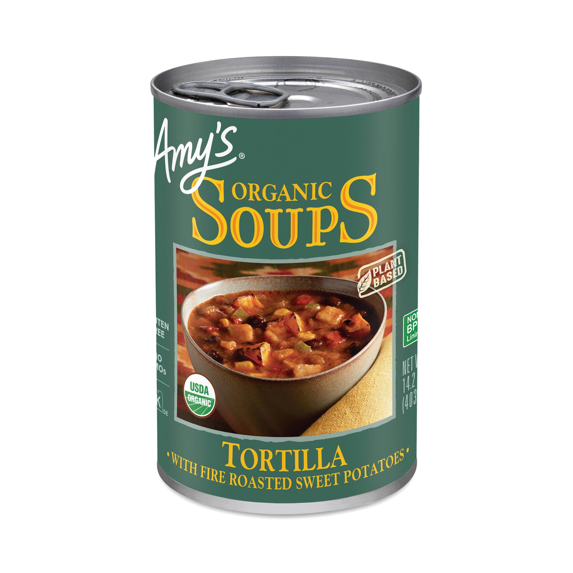 Organic Tortilla Soup