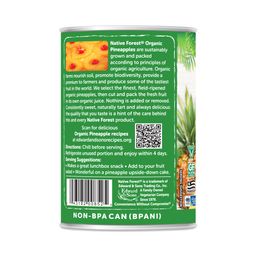 Organic Pineapple Slices