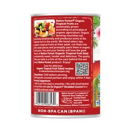 Organic Tropical Fruit Salad