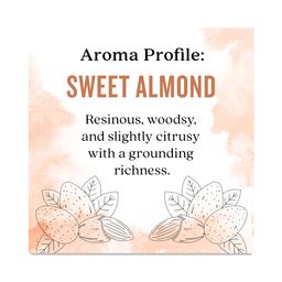 Sweet Almond Oil for Skin