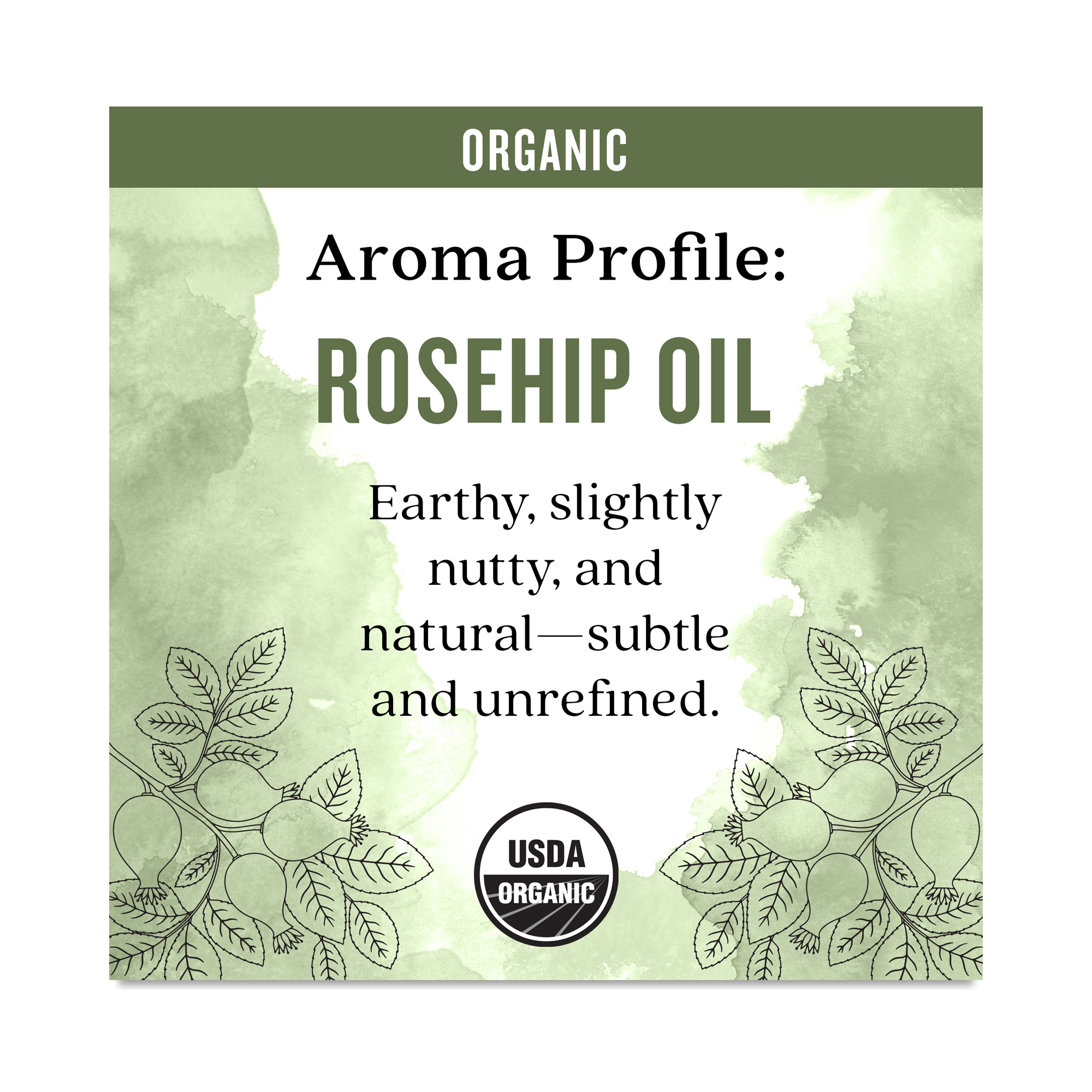 Organic Rosehip Oil for Skin & Hair | Thrive Market