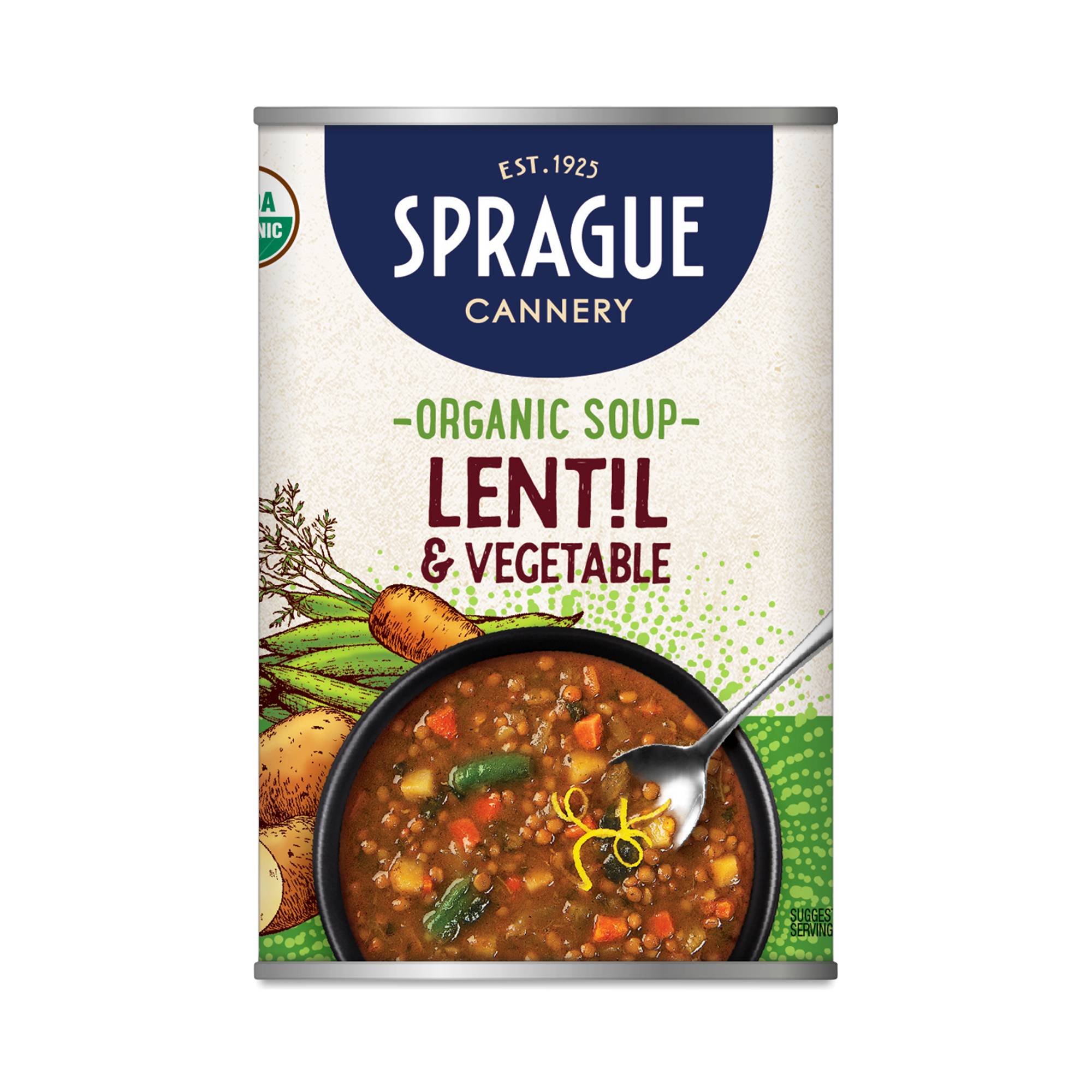 Organic Soup, Lentil & Vegetable
