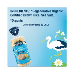 Organic Rice Cakes, Lightly Salted