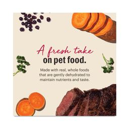 Wholemade Grain Free Beef Dog Food