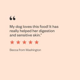 Whole Grain Chicken Recipe Dog Food, 10 lb