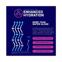 Daily Hydration Drink Mix, Blue Raspberry