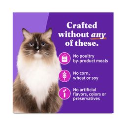 Grain Free Adult Wet Cat Food, Turkey & Duck