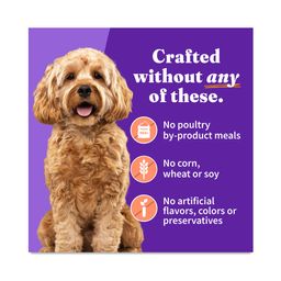 Grain Free Adult Wet Dog Food for Small Breed, Chicken & Salmon