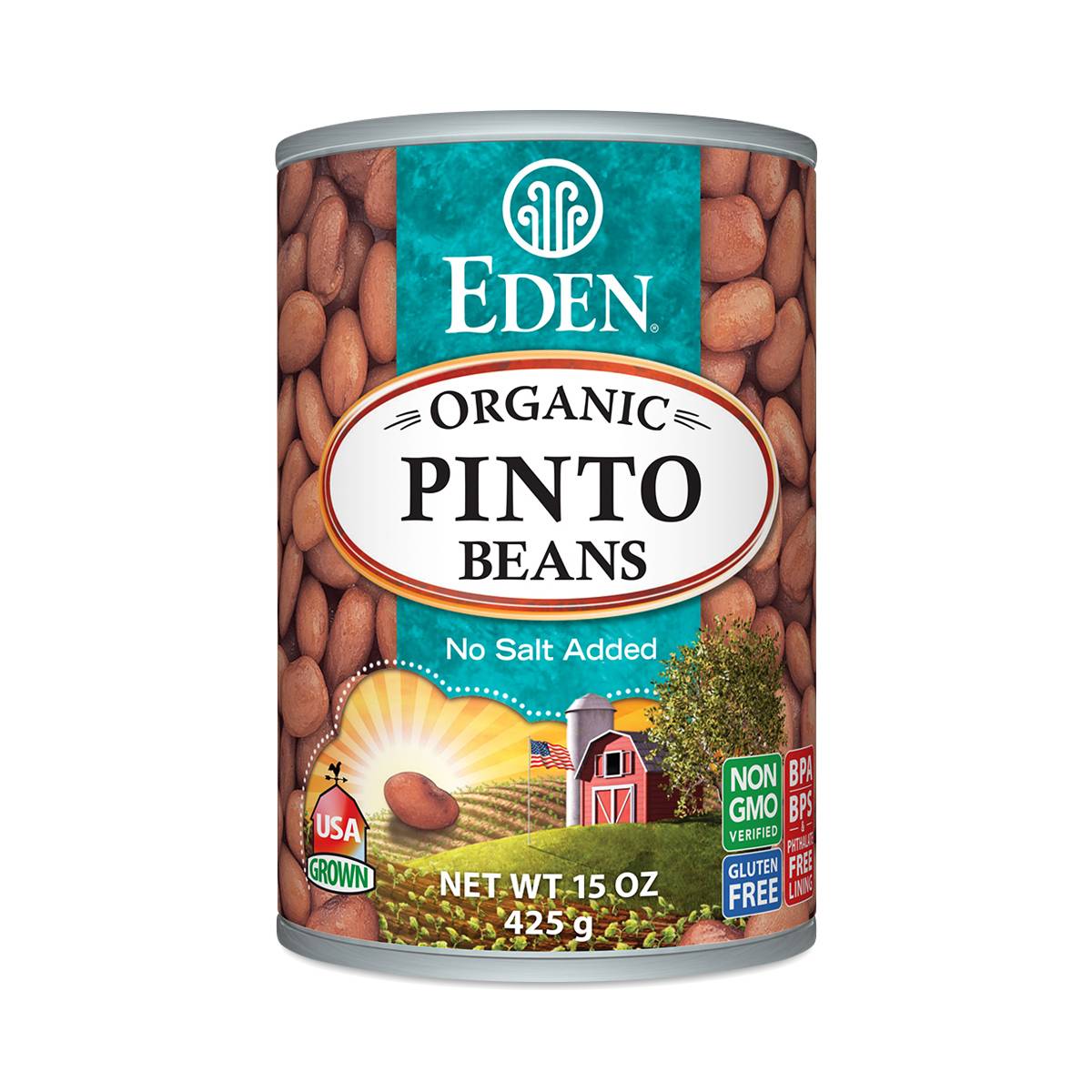 Organic Pinto Beans