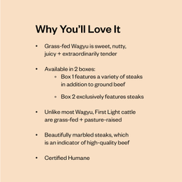 Wagyu Steak Lovers Box