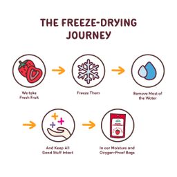 Organic Freeze Dried Pineapple