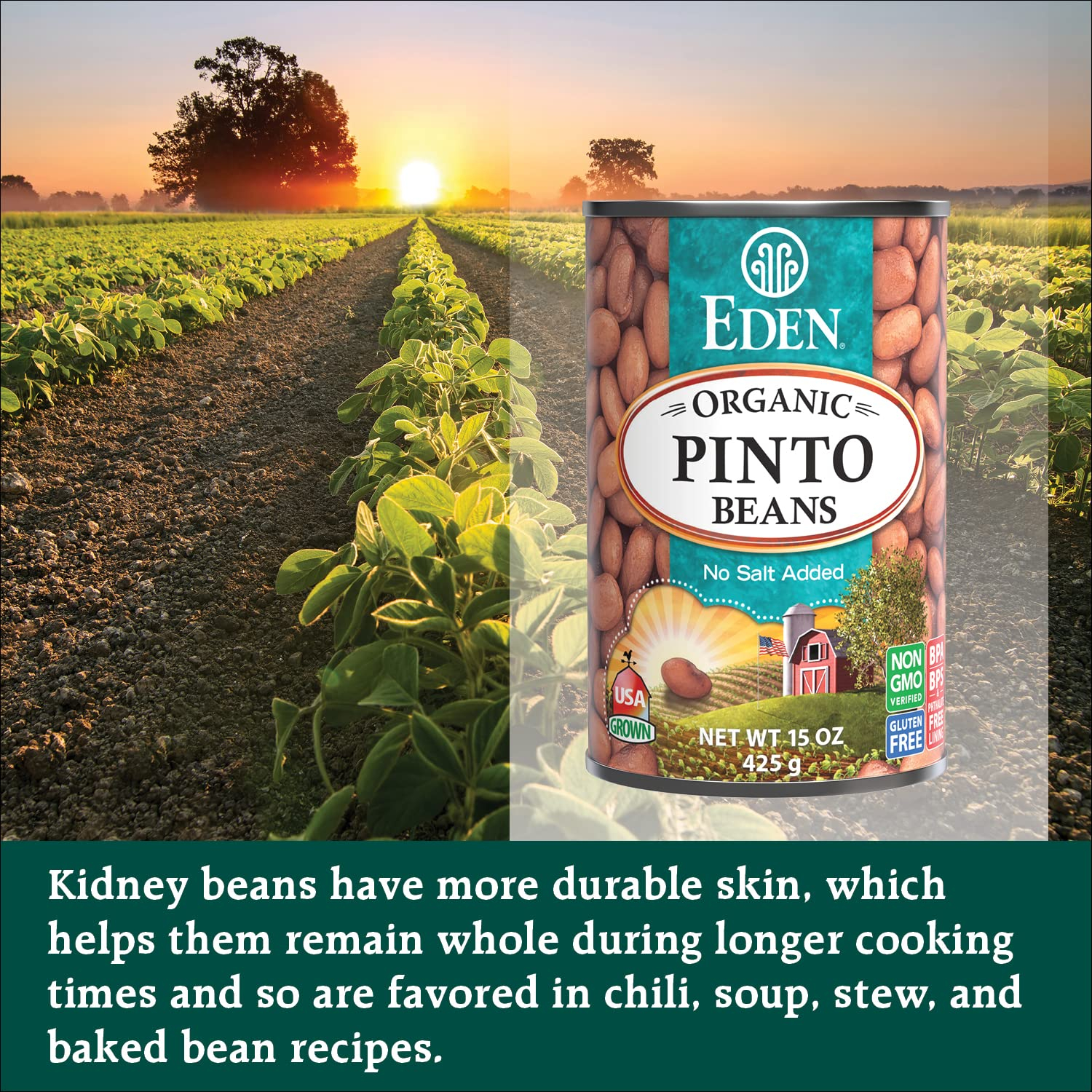 thumbnail image 2 of Food To Live Organic Pinto Beans – Non-GMO, Kosher, Raw, Vegan – Sproutable, 1 Oz Serving 2 of 5