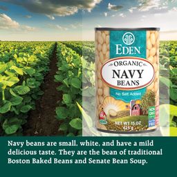 Organic Navy Beans