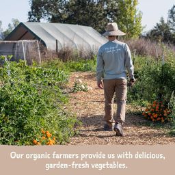 Dairy Free Vegetable Lasagna