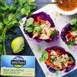 Wild Yellowtail Fillets in Extra Virgin Olive Oil