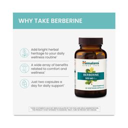 Berberine 60s Capsules (30 servings)