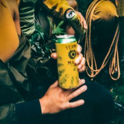 Organic Yerba Mate, Enlighten Mint
