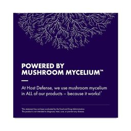 Lion's Mane Capsules