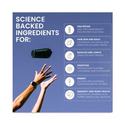 Longevity Shake, Chocolate