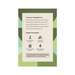 Organic Stinging Nettle Leaf Tea