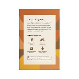 Organic Ginger Turmeric Tea