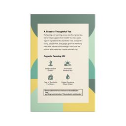 Organic Peppermint Ginger Detox, Green Tea Supplement