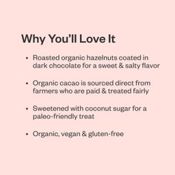 Organic Dark Chocolate Covered Hazelnuts