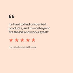 Dishwasher Detergent Powder, Unscented