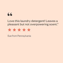 Laundry Detergent Packs, Lavender