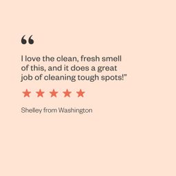 Laundry Detergent Packs, Peppermint