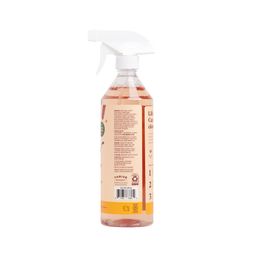 All-Purpose Cleaner, Pumpkin & Cinnamon Spice