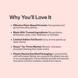 Dish Soap, Pumpkin & Cinnamon Spice