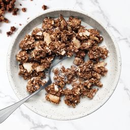 Sprouted Gluten Free Protein Granola, Coconut Cacao