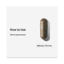 Advanced Testosterone Support