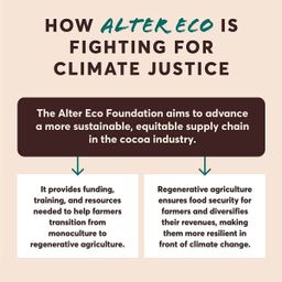 Organic Chocolate, Dark Chocolate Sea Salt