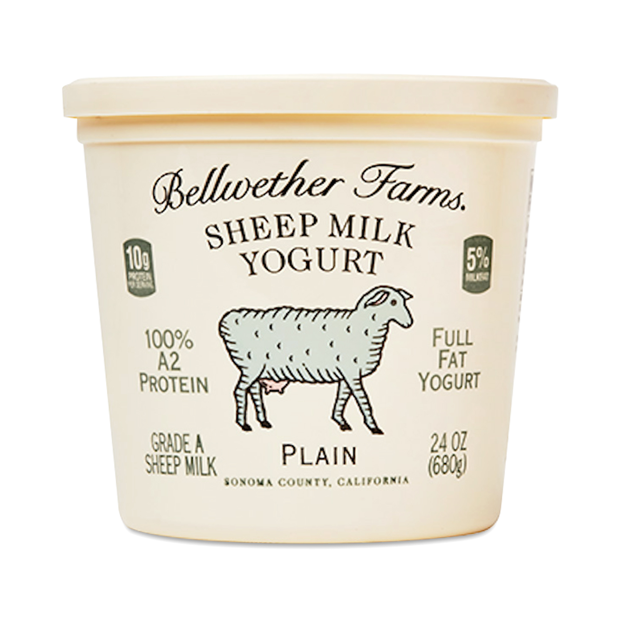 Bellwether Farms Sheep Milk Yogurt, Plain | Thrive Market