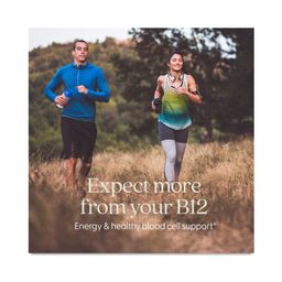 Fermented Vitamin B12