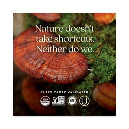 Fermented Vitamin D3