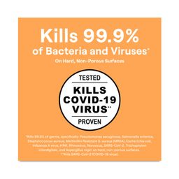 Disinfectant Spray, Eucalyptus, Spearmint & Thyme