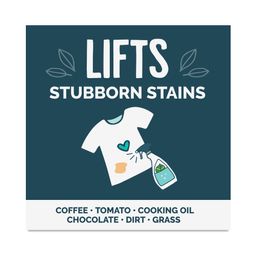 Laundry Stain Remover Spray, Fragrance Free