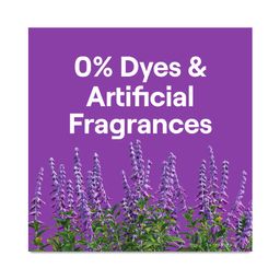 Laundry Detergent Sheets, Fresh Lavender