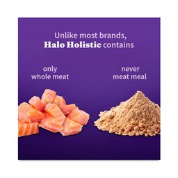 Holistic Grain Free Dry Food for Kittens, Salmon & Whitefish