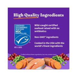 Holistic Grain Free Dry Food for Kittens, Salmon & Whitefish